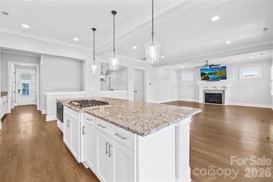 Looking for spectacular views, low-maintenance living, and close - photo 24