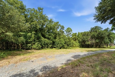 This private, wooded 0.80-acre homesite offers an outstanding - photo 26