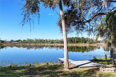 Lakefront Oasis with Income Potential - 260& 264 S. Central Ave - photo 42