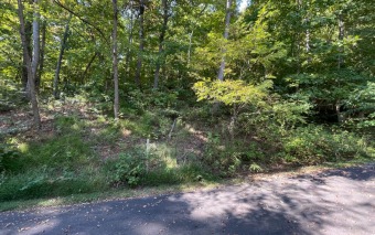 BEAUTIFULLY WOODED LOT IN THE MOUNTAINS OF NORTH CAROLINA! This - Lake Lot For Sale in Hayesville, North Carolina