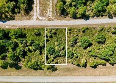 Introducing a fantastic opportunity to own a piece of vacant - photo 1
