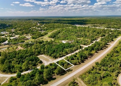 Introducing a fantastic opportunity to own a piece of vacant - photo 2