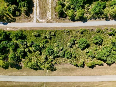 Introducing a fantastic opportunity to own a piece of vacant - photo 3