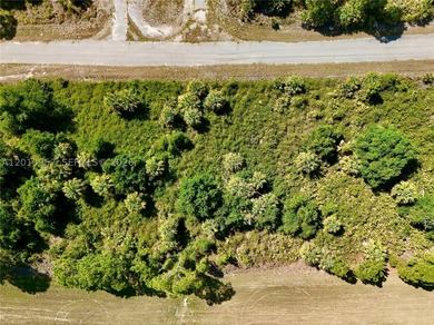Introducing a fantastic opportunity to own a piece of vacant - photo 4