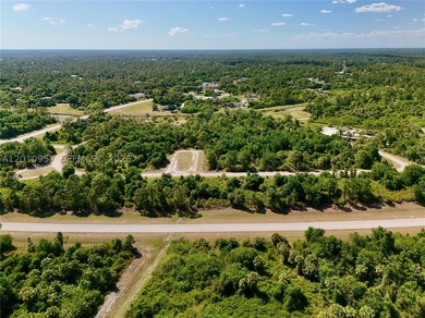 Introducing a fantastic opportunity to own a piece of vacant - photo 5