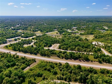 Introducing a fantastic opportunity to own a piece of vacant - photo 6
