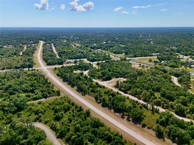 Introducing a fantastic opportunity to own a piece of vacant - photo 7