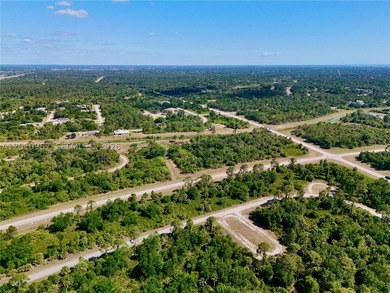 Introducing a fantastic opportunity to own a piece of vacant - photo 9