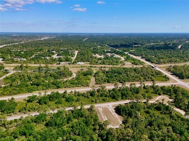 Introducing a fantastic opportunity to own a piece of vacant - photo 10