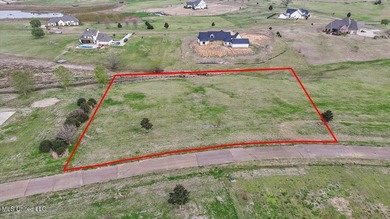 (private lake, pond, creek) Acreage For Sale in Flora Mississippi