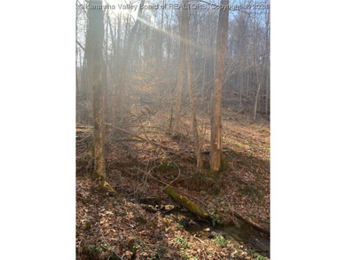 Build your cabin retreat or permanent home on this 115.3 Acres - photo 12