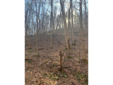 Build your cabin retreat or permanent home on this 115.3 Acres - photo 13