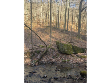 Build your cabin retreat or permanent home on this 115.3 Acres - photo 15