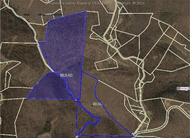 Build your cabin retreat or permanent home on this 115.3 Acres - photo 17