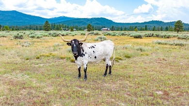 THIS GRAND ADVENTURE and LIFESTYLE EXISTS AMONG 160 ACRES of - photo 49