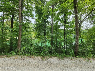 Lake Lot Sale Pending in Lafollette, Tennessee