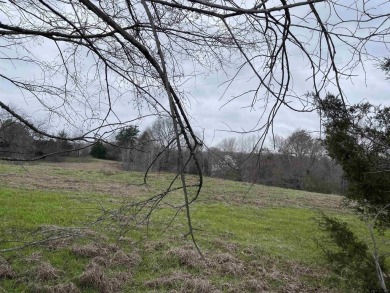 30.869 Acres Backing Up to a Creek - Ideal for Your Hobby Farm! - Lake Acreage For Sale in Winnsboro, Texas