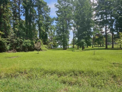 Toledo Bend Lake Home For Sale in Hemphill Texas