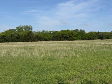 If you've been desiring country living without maintaining a lot - photo 14