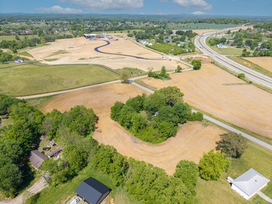 UNRESTRICTED 4.98 acres near the entrance of the new Horse - photo 1
