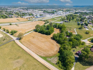 UNRESTRICTED 4.98 acres near the entrance of the new Horse - photo 4