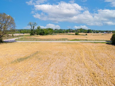 UNRESTRICTED 4.98 acres near the entrance of the new Horse - photo 5