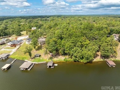 Ready to build your dream lakefront retreat? This beautiful - photo 10