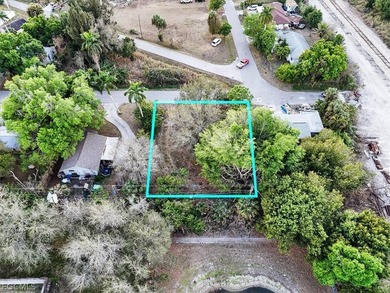 This 0.20-acre oversized residential lot is located in the - photo 8