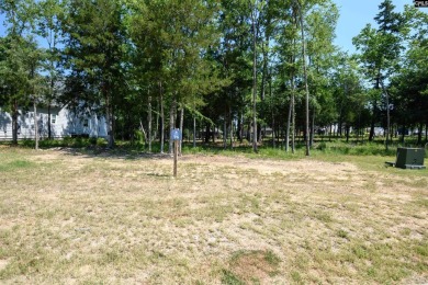 Lake Lot For Sale in Chapin, South Carolina