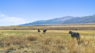 The Arrow S Ranch is a diverse and immense farm and ranch - photo 15