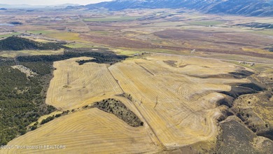 The Arrow S Ranch is a diverse and immense farm and ranch - photo 19