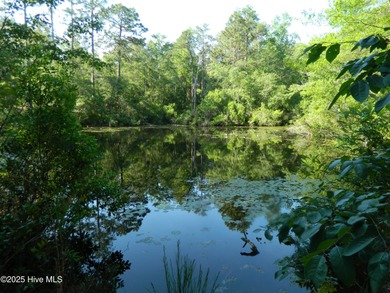 (private lake, pond, coastal) Acreage For Sale in Pinebluff North Carolina