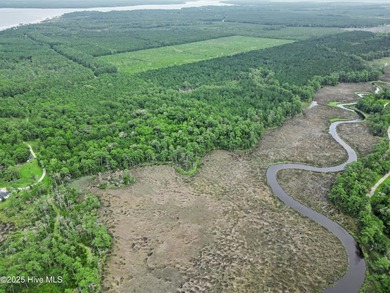Build your dream coastal retreat on this beautiful lot in the - photo 22