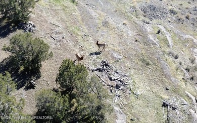 The Arrow S Ranch is a diverse and immense farm and ranch - photo 22