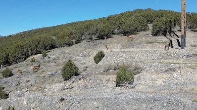 The Arrow S Ranch is a diverse and immense farm and ranch - photo 23