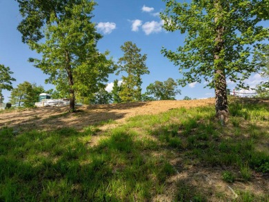 Great waterfront lot located in the up-and-coming Grand Vista - photo 23
