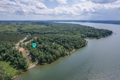 Pickwick Lake Homes For Sale Real Estate Lakefront Property Al