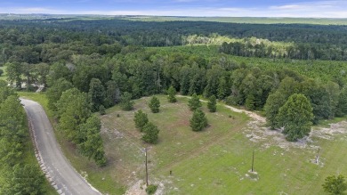 Lake Lot For Sale in Jasper, Texas