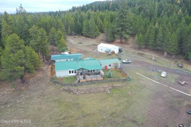 (private lake, pond, creek) Home For Sale in Emida Idaho
