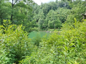 Lake Acreage Off Market in Bulter, Tennessee
