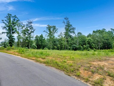 Excellent investment opportunity on this lot located in a highly - photo 11
