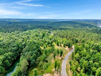 Excellent investment opportunity on this lot located in a highly - photo 16