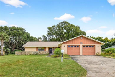 Silver Lake - Lake County Home For Sale in Leesburg Florida