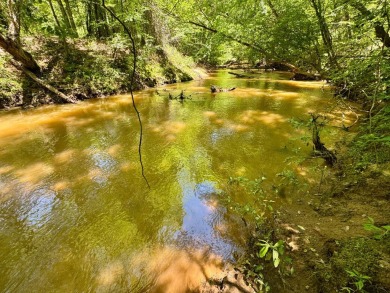 (private lake, pond, coastal) Acreage For Sale in Valley Grande Alabama