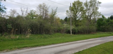 2 Wooded Lots  - Lake Lot For Sale in Willard, Ohio
