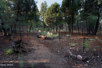 Nestled among the tall pines on the 8th fairway of Torreon's - photo 48