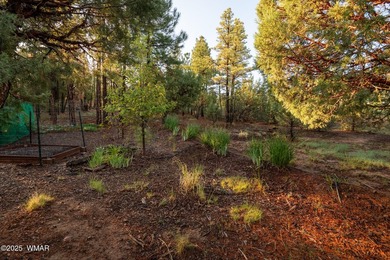 Nestled among the tall pines on the 8th fairway of Torreon's - photo 51