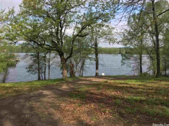 (private lake) Acreage For Sale in Atkins Arkansas