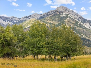 Rare Opportunity to Own Live Water in the Heart of Montana's - photo 1