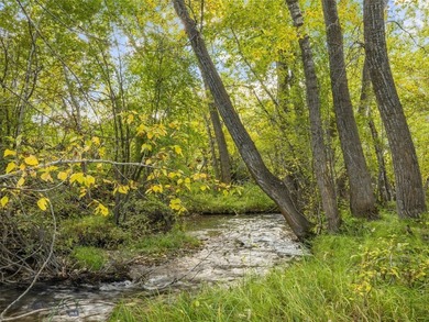 Rare Opportunity to Own Live Water in the Heart of Montana's - photo 4